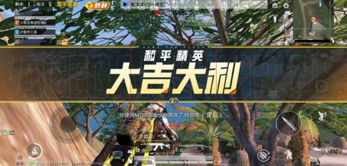 和平精英十字架无后座 - 吃鸡专用压枪科技挂